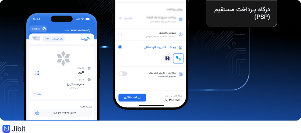 درگاه پرداخت مستقیم